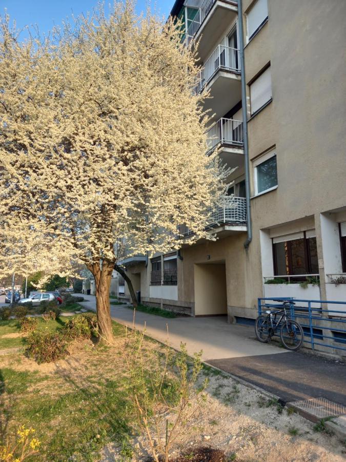 Apartment Jarun Comfort Zagreb Luaran gambar